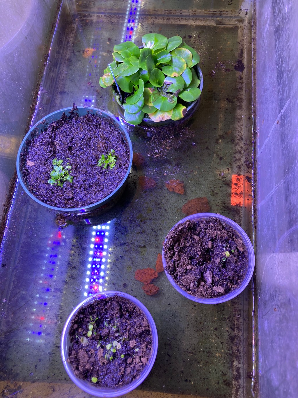 An incredible new addition to my&nbsp;collection!